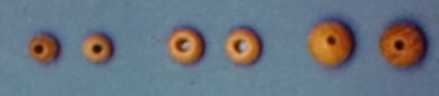 Klotjes Holz Ø 6 mm, Bohrung 2,0 mm, 30 Stück