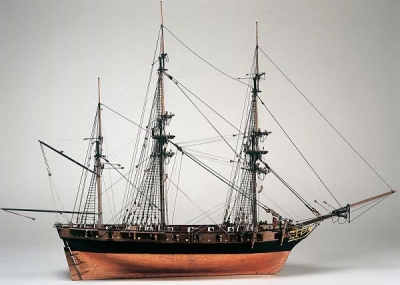 Snake HMS Baukasten, Länge 92 cm