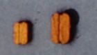 Klumpblöcke, Holz, hell, mit 3 Rillen, 5 mm, 20 Stück