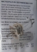 Micro Pile Getriebemotor 400:1 6V