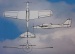 SKYRAIDER E-Flugmodell  - Spannweite 112,5 cm -