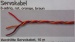 Servokabel  verdrillt 3 x  0,34 qmm, 10 Meter
