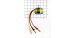 ROXXY BL Outrunner 2822/25