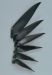 Cam Carbon Props - 18,5 x 14,0 (Ø x Steigung)