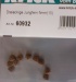 Dreieckige Jungfern 5 mm (10 Stück)