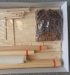 Norske Löve 1:75 ltd. Edition  (Länge 101 cm)