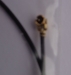 Antenne 2,4GHz für M-LINK RX 400 mm
