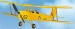 Tiger Moth (Spannw. 76 cm)