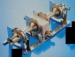 Schleppnetzwinde  80 x 35 mm