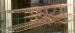 Holzbausatz Wright-Flyer 1903 - lieferbar -