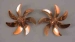 Schiffsschraube, messing,  M 5, 63 mm L, 7-Blatt